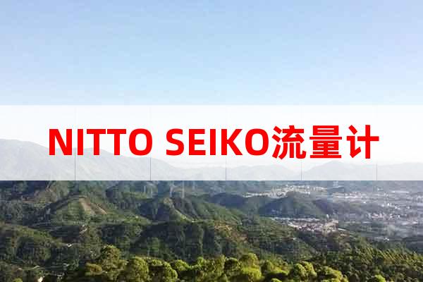 NITTO SEIKO流量計