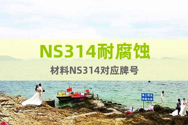 NS314耐腐蝕材料NS314對應牌號
