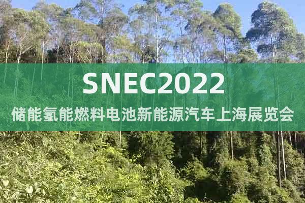 SNEC2022储能氢能燃料电池新能源汽车上海展览会