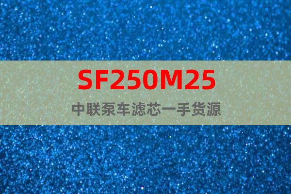 SF250M25中联泵车滤芯一手货源