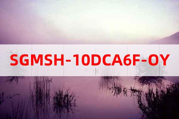 SGMSH-10DCA6F-OY
