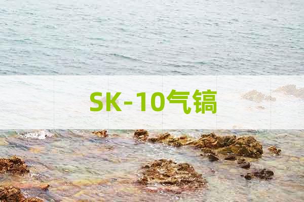 SK-10氣鎬