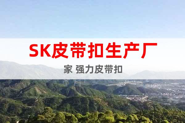 SK皮帶扣生產(chǎn)廠家 強力皮帶扣