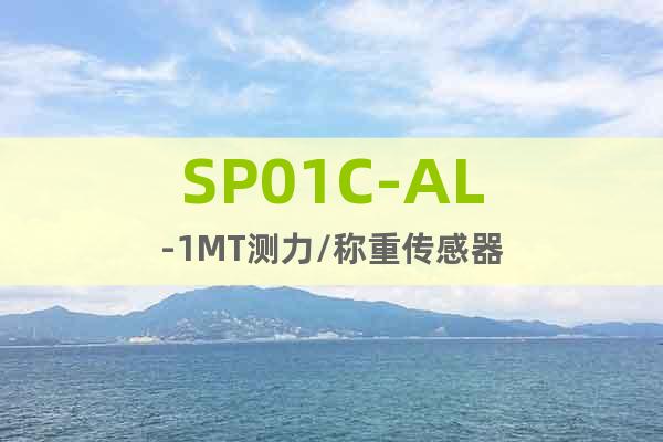 SP01C-AL-1MT測力/稱重傳感器