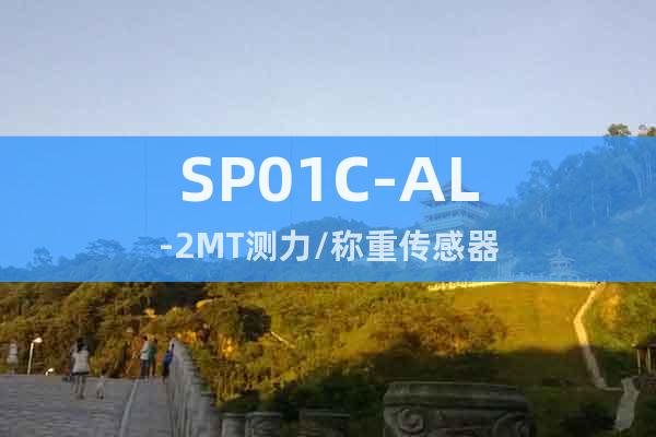 SP01C-AL-2MT測力/稱重傳感器