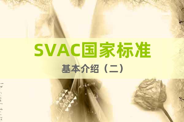 SVAC国家标准基本介绍（二）
