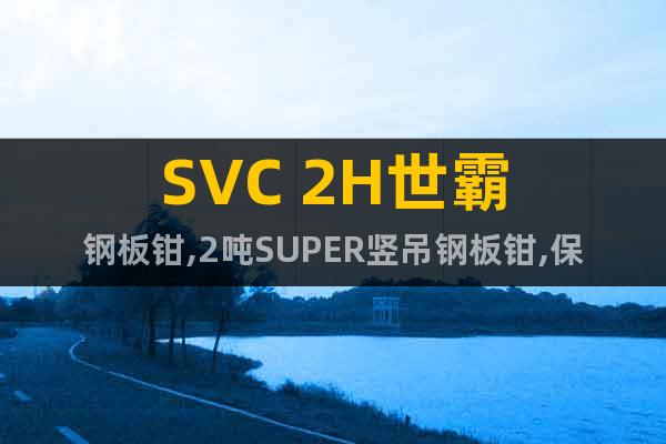 SVC 2H世霸鋼板鉗,2噸SUPER豎吊鋼板鉗,保質一年