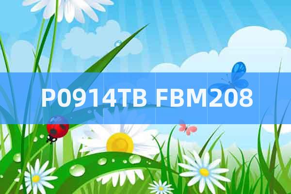 P0914TB FBM208