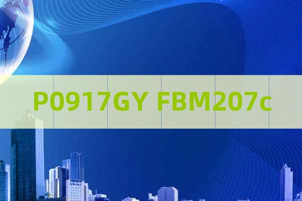 P0917GY FBM207c