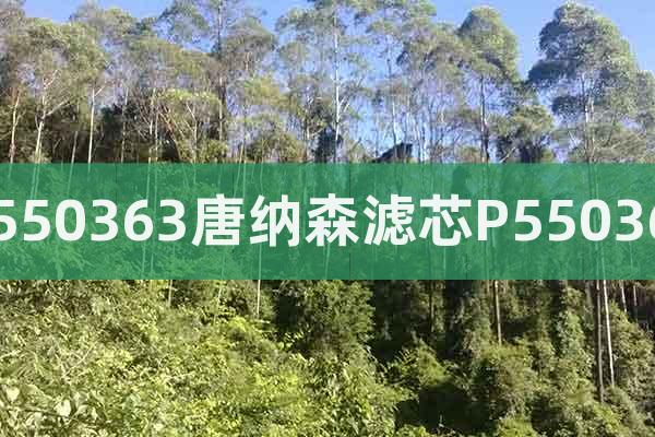 P550363唐納森濾芯P550363