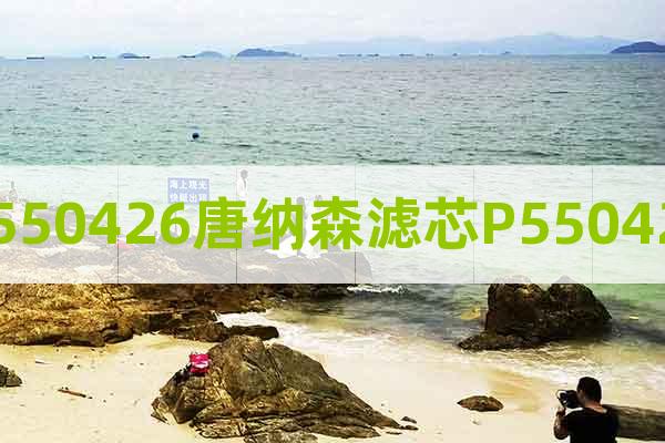 P550426唐納森濾芯P550426