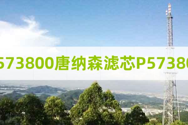 P573800唐納森濾芯P573800