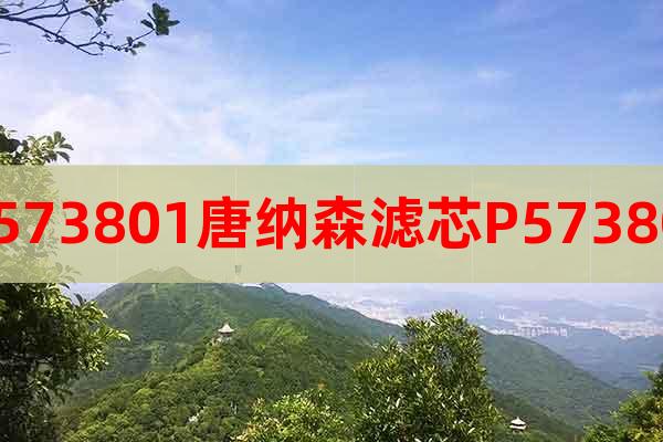 P573801唐納森濾芯P573801