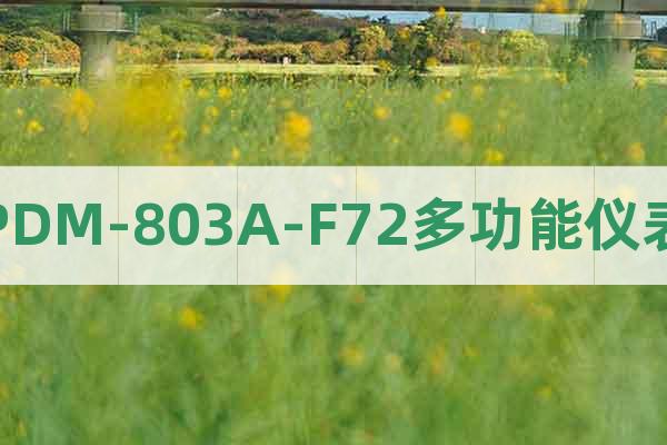 PDM-803A-F72多功能儀表