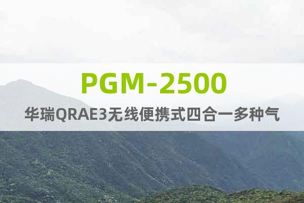 PGM-2500华瑞QRAE3无线便携式四合一多种气体探测器