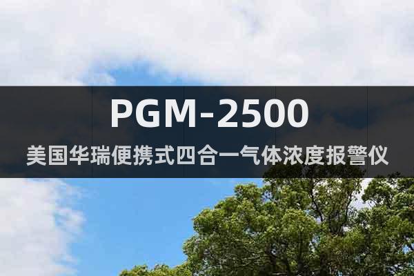 PGM-2500美国华瑞便携式四合一气体浓度报警仪