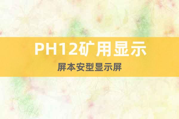 PH12矿用显示屏本安型显示屏