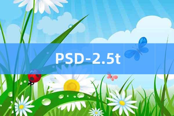 PSD-2.5t