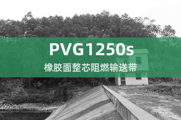 PVG1250s橡胶面整芯阻燃输送带