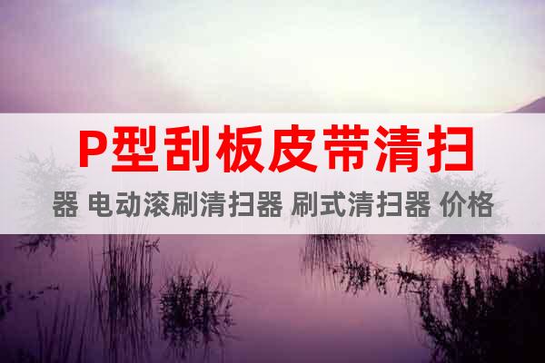 P型刮板皮帶清掃器 電動滾刷清掃器 刷式清掃器 價格公道
