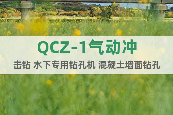 QCZ-1氣動沖擊鉆 水下專用鉆孔機(jī) 混凝土墻面鉆孔機(jī)