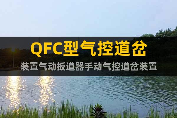 QFC型氣控道岔裝置氣動(dòng)扳道器手動(dòng)氣控道岔裝置