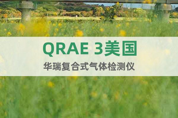 QRAE 3美国华瑞复合式气体检测仪
