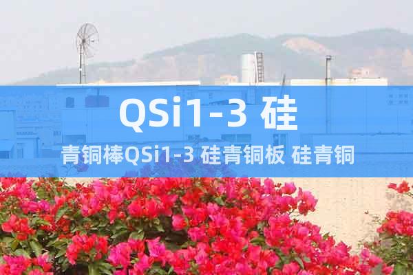 QSi1-3 硅青銅棒QSi1-3 硅青銅板 硅青銅管