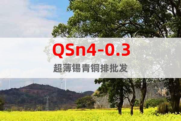 QSn4-0.3超薄锡青铜排批发