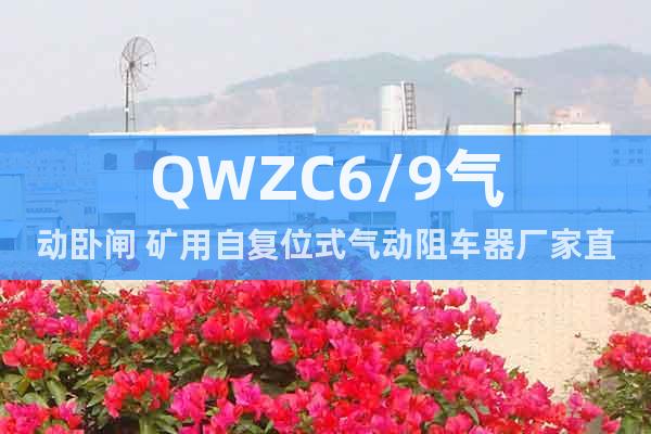 QWZC6/9气动卧闸 矿用自复位式气动阻车器厂家直销