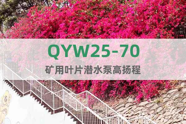 QYW25-70矿用叶片潜水泵高扬程