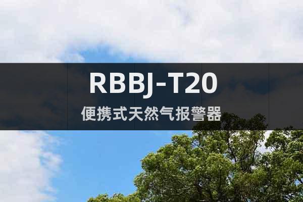 RBBJ-T20便携式天然气报警器