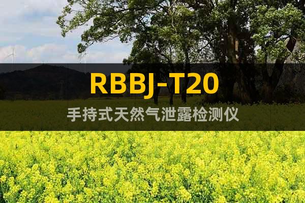 RBBJ-T20手持式天然气泄露检测仪
