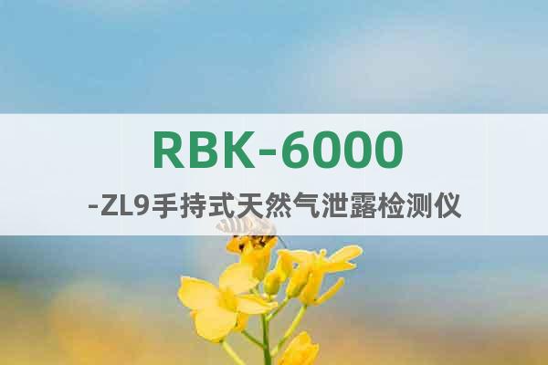 RBK-6000-ZL9手持式天然氣泄露檢測儀
