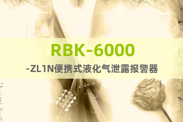 RBK-6000-ZL1N便携式液化气泄露报警器