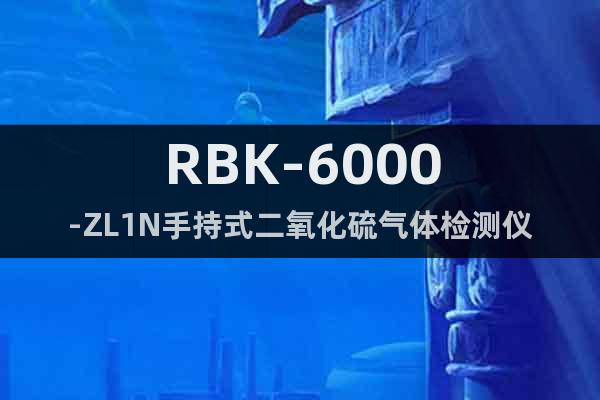 RBK-6000-ZL1N手持式二氧化硫氣體檢測(cè)儀