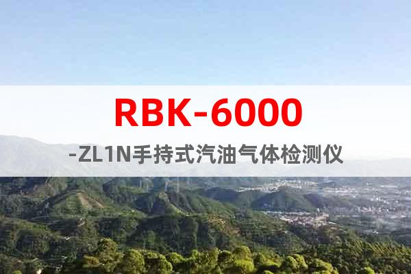 RBK-6000-ZL1N手持式汽油氣體檢測儀