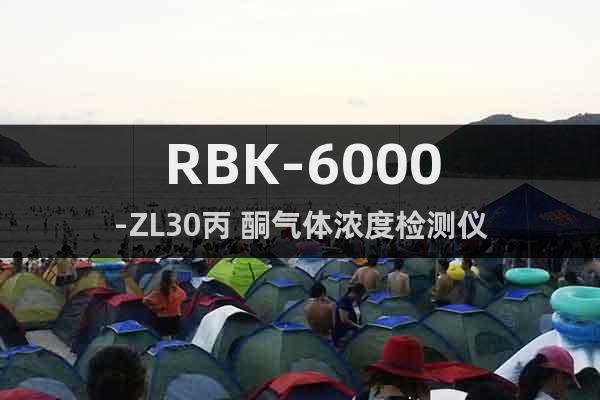 RBK-6000-ZL30丙 酮氣體濃度檢測儀