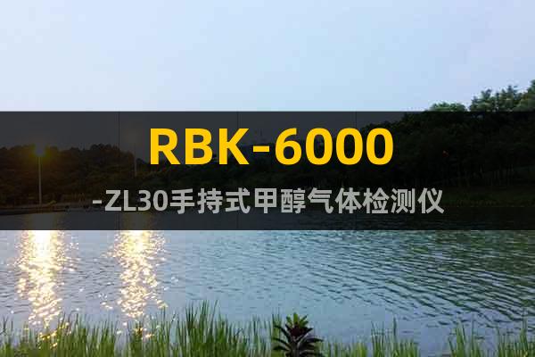 RBK-6000-ZL30手持式甲醇?xì)怏w檢測儀