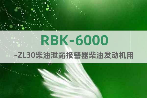 RBK-6000-ZL30柴油泄露报警器柴油发动机用
