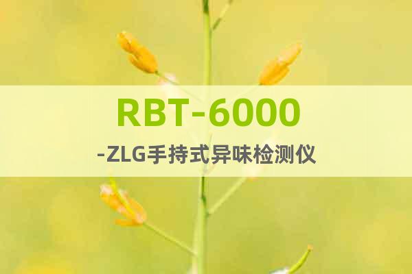 RBT-6000-ZLG手持式異味檢測(cè)儀