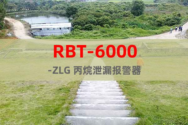 RBT-6000-ZLG 丙烷泄漏报警器