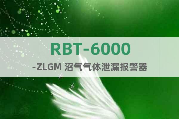 RBT-6000-ZLGM 沼气气体泄漏报警器