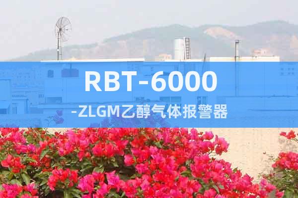 RBT-6000-ZLGM乙醇气体报警器