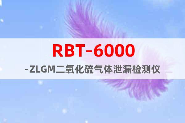 RBT-6000-ZLGM二氧化硫气体泄漏检测仪