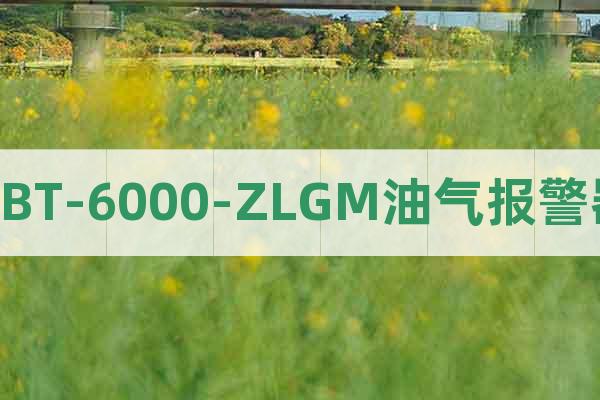 RBT-6000-ZLGM油氣報警器