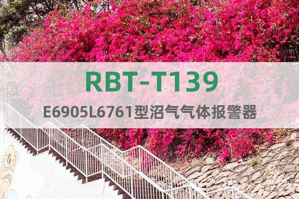 RBT-T139E6905L6761型沼氣氣體報警器