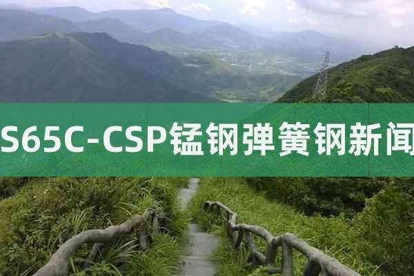 S65C-CSP錳鋼彈簧鋼新聞