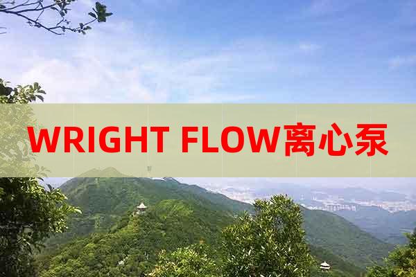 WRIGHT FLOW離心泵