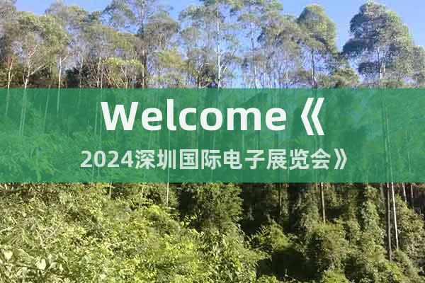Welcome《2024深圳国际电子展览会》